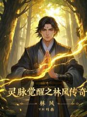 灵脉觉醒：林风传奇