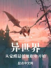 异世界：从觉醒最低级职业开始
