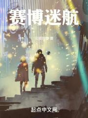 赛博迷航