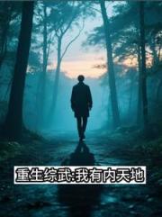 综武之内天地