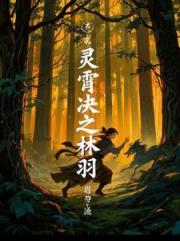 灵霄决之林羽