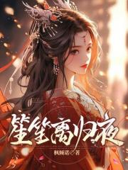 笙笙离归夜