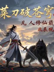 菜刀破苍穹，凡人修仙巅