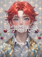 穹宇溯光录