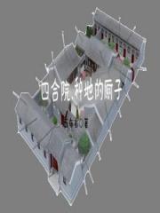 四合院：傻柱重生有可能长生不老