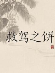 救驾之饼