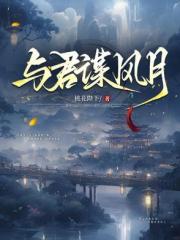 与君谋风月