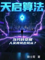 天启算法